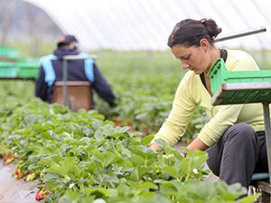 be a healthy farmer